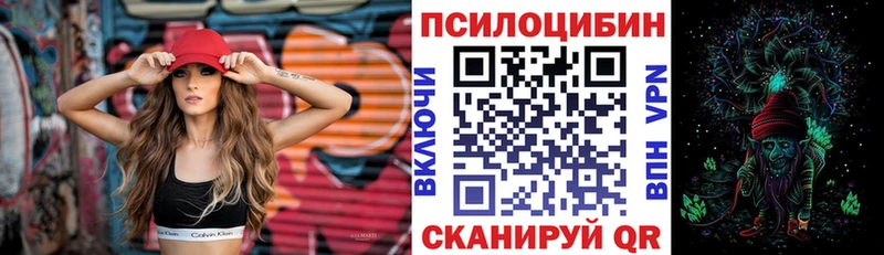 купить закладку Коркино Галлюциногенные грибы Psilocybine cubensis