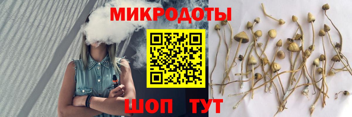 Галлюциногенные грибы прущие грибы  магазин продажи наркотиков  Псилоцибиновые грибы Psilocybe  Коркино  Вход с VPN 