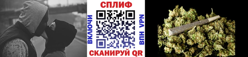 площадка как зайти  Коркино  Конопля сатива 